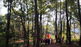 青草视频网站,探索无限精彩，畅享视听盛宴